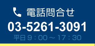 電話問い合わせ　0352613091